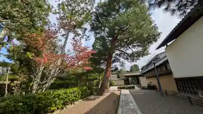 大徳寺(京都府)