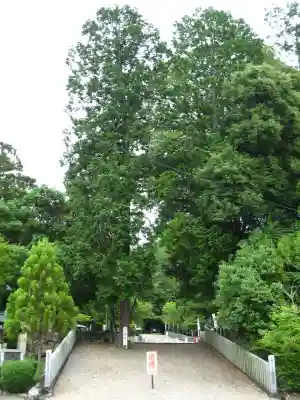 尾張冨士大宮浅間神社のその他建物