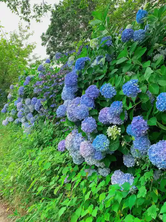 蟻通神社(和歌山県)