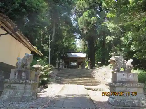 桙衝神社の狛犬