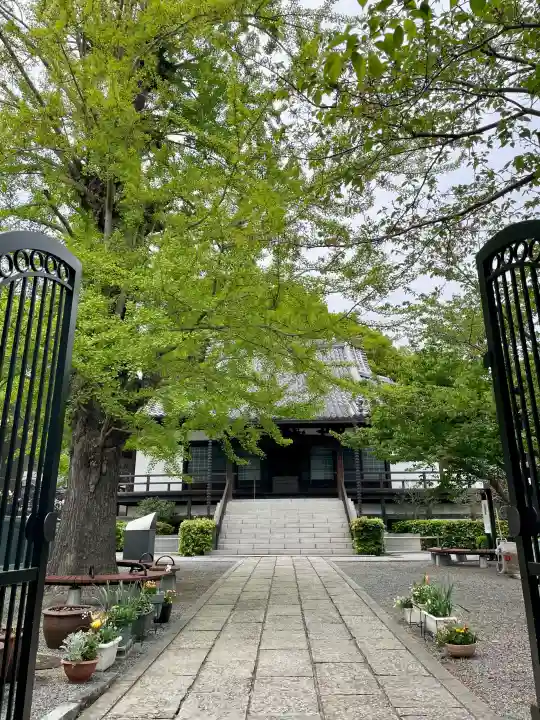 浄土寺の{uncategorized: "未分類", other: "その他", undefined: "問題あり", building: "その他建物", grave: "お墓", sacred_gate: "鳥居", guardian: "狛犬", statue: "像", buddha: "仏像", history: "歴史", nature: "自然", garden: "庭園", animal: "動物", pagoda: "塔", temizu: "手水舎", mountain_gate: "山門・神門", sanctuary: "本殿・本堂", subordinate: "末社・摂社", art: "芸術", scenery: "景色", jizo: "地蔵", ema: "絵馬", goshuin: "御朱印", omikuji: "おみくじ", items: "授与品その他", amulet: "お守り", goshuincho: "御朱印帳", eats: "食事", festival: "お祭り", votive_dance: "神楽", shichigosan: "七五三参", wedding: "結婚式", experience: "体験その他", initially: "初詣", around: "周辺", anti_infection: "感染症対策"}