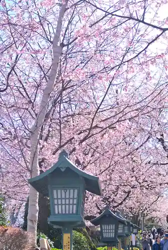 密藏院(埼玉県)