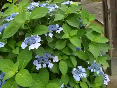 今宮神社(栃木県)