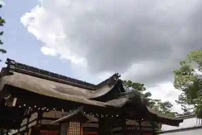 住吉大社の本殿・本堂