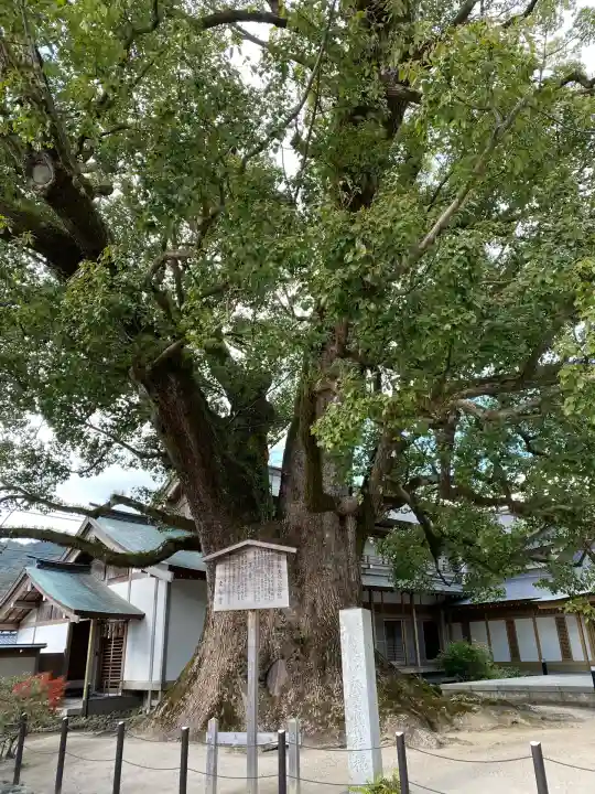 太宰府天満宮の自然