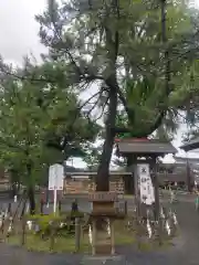 阿蘇神社(熊本県)