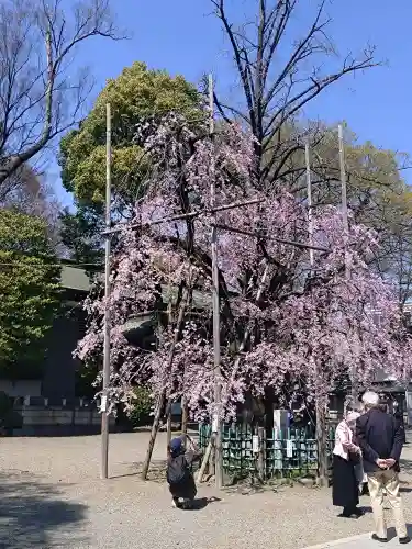 大國魂神社の{uncategorized: "未分類", other: "その他", undefined: "問題あり", building: "その他建物", grave: "お墓", sacred_gate: "鳥居", guardian: "狛犬", statue: "像", buddha: "仏像", history: "歴史", nature: "自然", garden: "庭園", animal: "動物", pagoda: "塔", temizu: "手水舎", mountain_gate: "山門・神門", sanctuary: "本殿・本堂", subordinate: "末社・摂社", art: "芸術", scenery: "景色", jizo: "地蔵", ema: "絵馬", goshuin: "御朱印", omikuji: "おみくじ", items: "授与品その他", amulet: "お守り", goshuincho: "御朱印帳", eats: "食事", festival: "お祭り", votive_dance: "神楽", shichigosan: "七五三参", wedding: "結婚式", experience: "体験その他", initially: "初詣", around: "周辺", anti_infection: "感染症対策"}