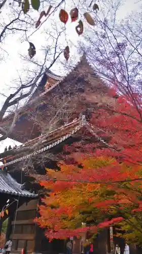 南禅寺の建物その他