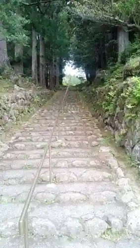 阿弥陀寺の自然