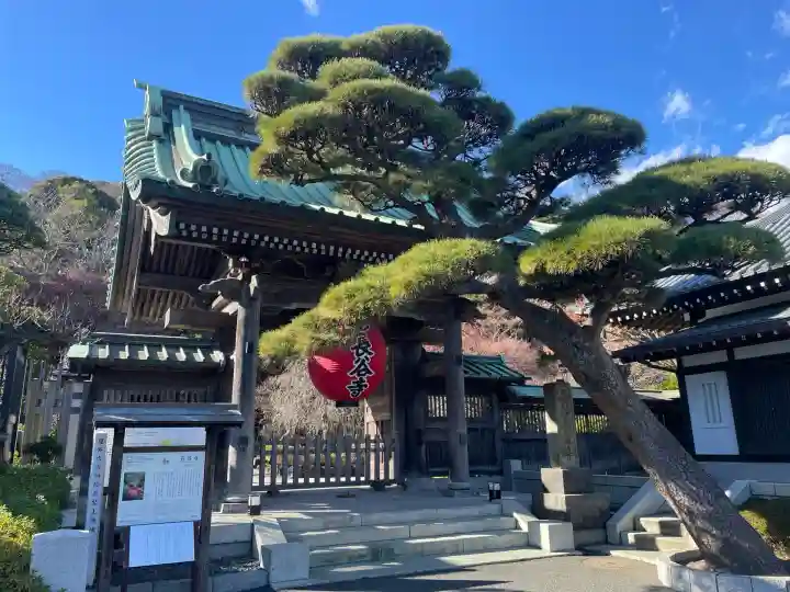 長谷寺の山門・神門