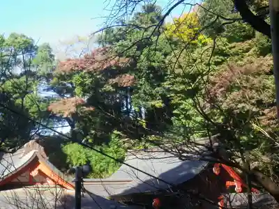 荏柄天神社のその他建物