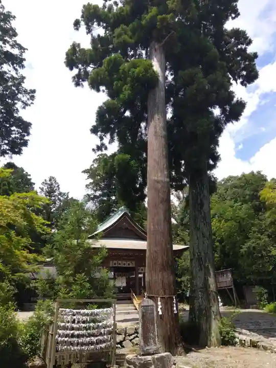 小椋神社(滋賀県)
