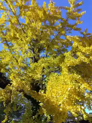 稲荷神社(福井県)
