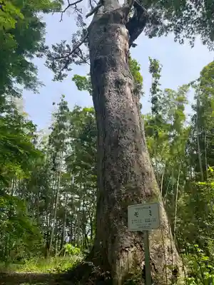 大長寿院(岩手県)