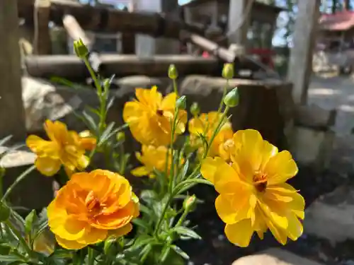 坪沼八幡神社(宮城県)