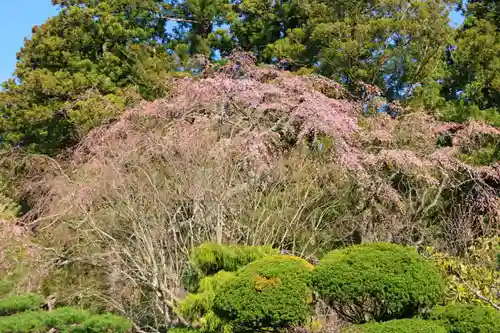 白幡神社の庭園