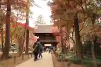 平林寺(埼玉県)