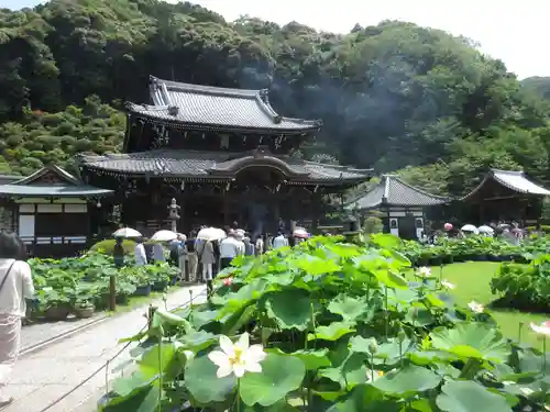 三室戸寺の庭園