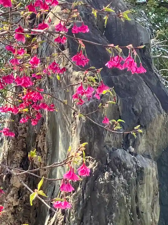 亀戸天神社(東京都)
