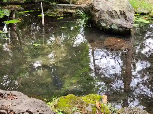 愛宕神社(秋田県)