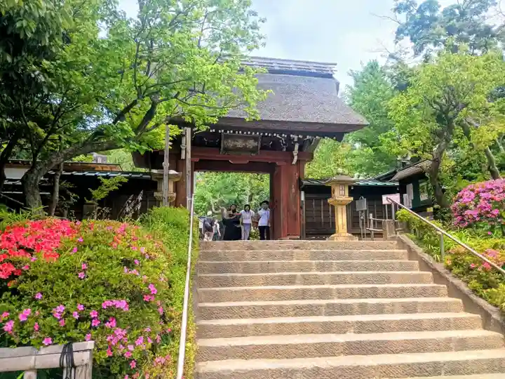 深大寺(東京都)