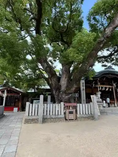 石切劔箭神社(大阪府)
