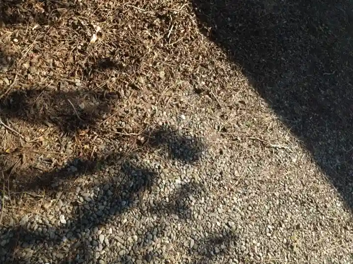 長泉寺(埼玉県)