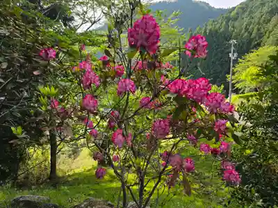西光寺(奈良県)
