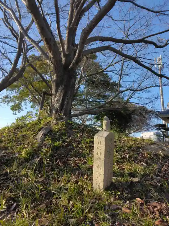 住吉神社の自然