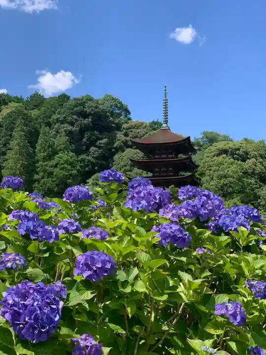 瑠璃光寺の自然