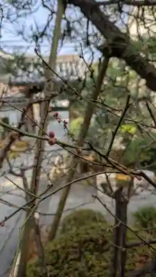 宝蔵寺(京都府)