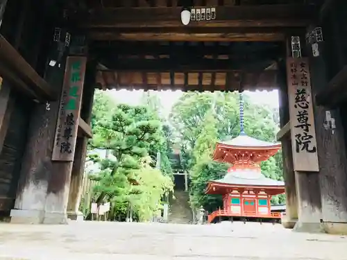 慈尊院の山門・神門