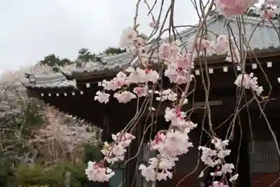 普門寺(三重県)