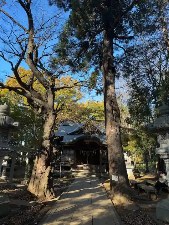 天形星神社の本殿・本堂