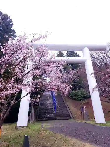 土津神社｜こどもと出世の神さまの鳥居