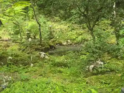 龍光院(大阪府)