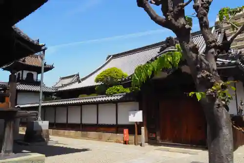 本興寺(兵庫県)