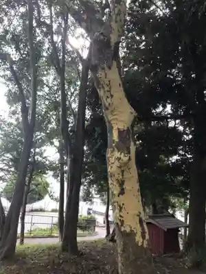根岸八幡神社(神奈川県)
