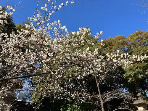 赤坂氷川神社(東京都)