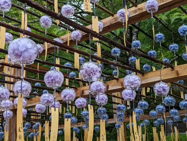 正寿院(京都府)