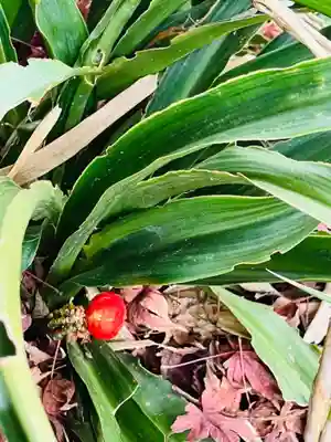 貴船神社(茨城県)