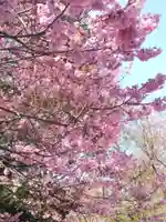 近江神宮(滋賀県)