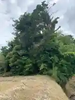 稲荷神社(千葉県)