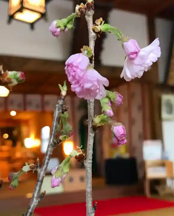 高司神社〜むすびの神の鎮まる社〜(福島県)
