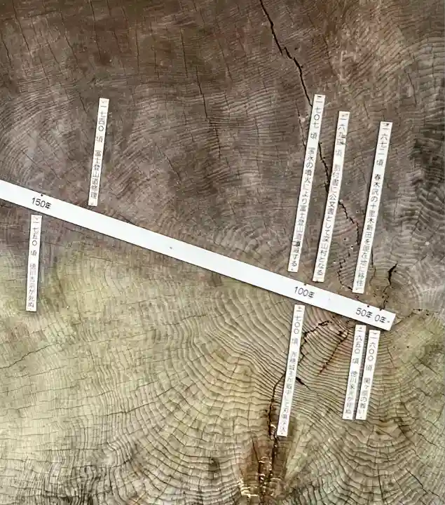 須山浅間神社(静岡県)