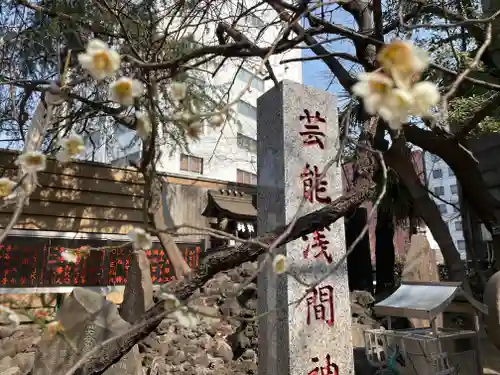 花園神社の自然