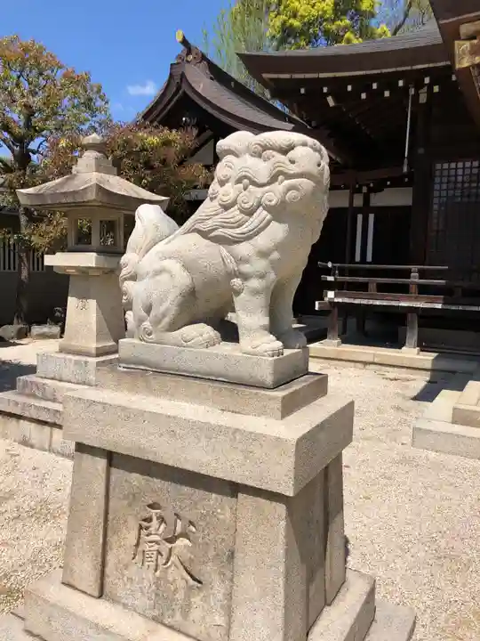 荒井神社の狛犬