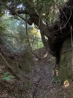 大杉神社の周辺