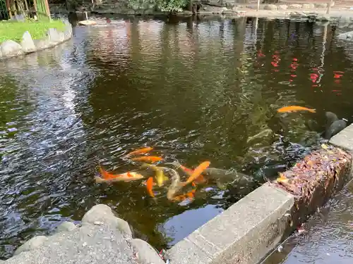 平塚八幡宮(神奈川県)
