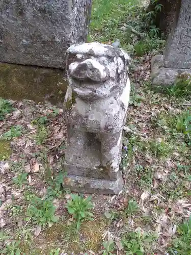 常光寺の狛犬